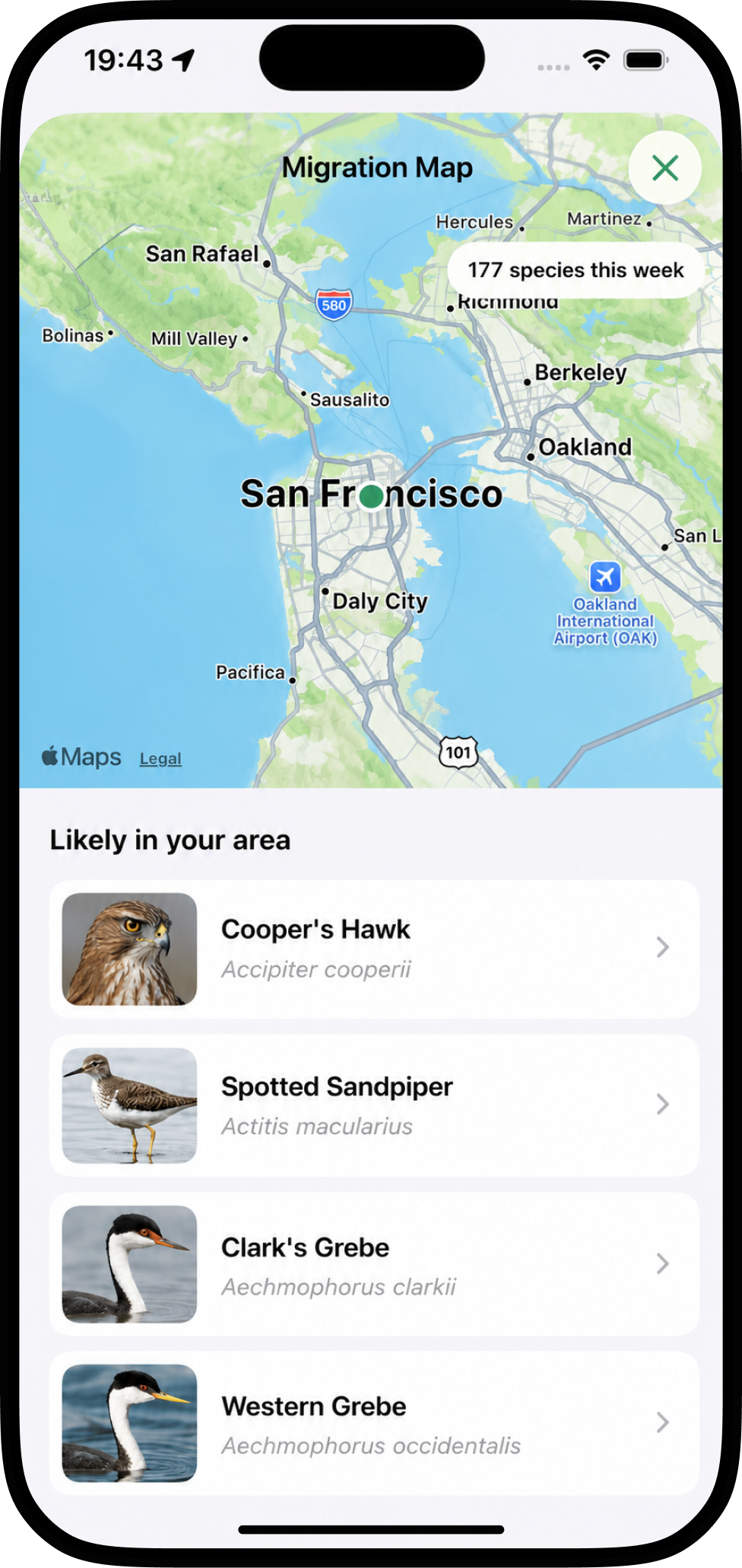 Bird Call Identifier winter bird tracking and migration screenshot